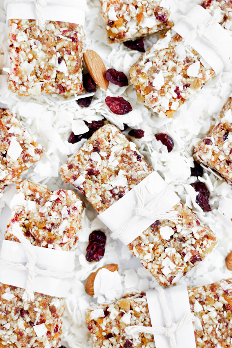 Cranberry Coconut Apricot Raw Bars (Vegan) THIRTEEN THOUGHTS